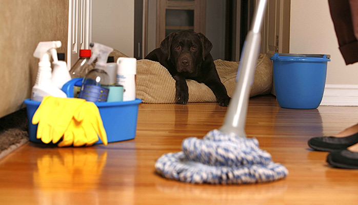 Cleaners in Liverpool
